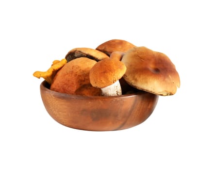 Set of various freshness mushrooms in bowl isolated on white background