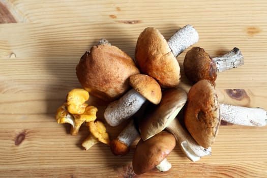 Set of various freshness mushrooms on wooden table