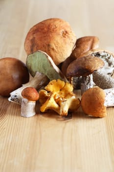 Set of various freshness mushrooms on wooden table