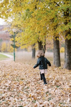 Little girl runs through fallen dry leaves in the park, waving her arms. Back view. High quality photo
