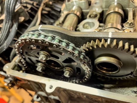 Close-up view of the timing chain inside a car engine.