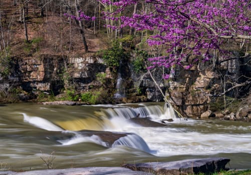 Valley Falls State Park near Fairmont in West Virginia on a colorful and bright spring day with redbud blossoms on the trees