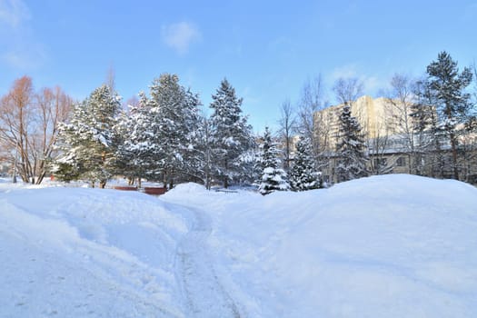 Snow-covered alley in awinter park in Moscow, Russia