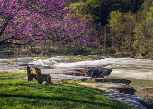 Bench overlook of Valley Falls State Park near Fairmont in West Virginia on a colorful and bright spring day with redbud blossoms on the trees