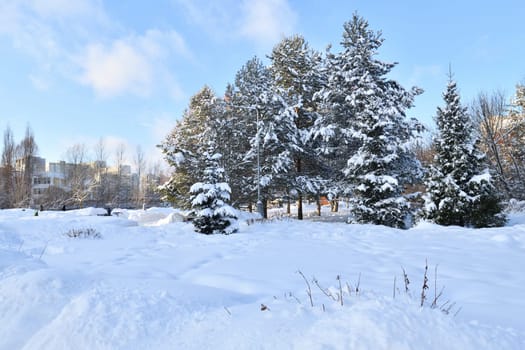 Snow-covered City Park in winter in Moscow, Russia