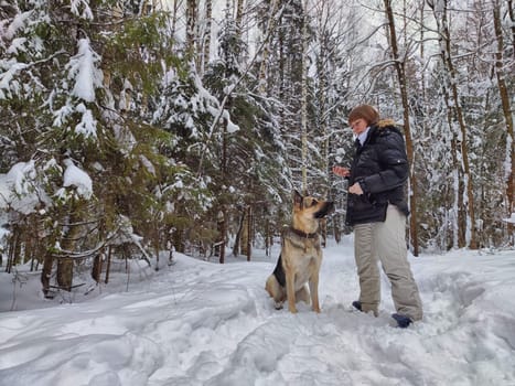 Adult girl, shepherd dog and training in winter forest. Middle aged woman and big shepherd dog on nature in cold day. Friendship, love, communication, fun