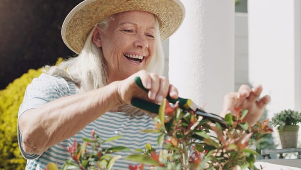 Senior, woman and trimming of plants in garden, home and smile for nature, outdoor and summer to relax. House, ecology and elderly person with hobby, happiness and hat for sun, retirement and weekend.