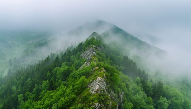 A mountain covered in trees and fog by AI generated image.