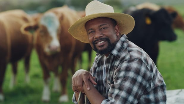 Portrait of man, farmer or cows on farm agriculture for livestock, sustainability or business in countryside. Smile, dairy production or mature person farming cattle herd or animals on grass field.