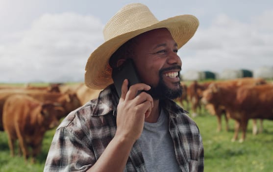 Black man, farmer and phone call with cows for conversation, agriculture or communication in countryside. Happy African or male person talking on mobile smartphone with livestock or cattle on farm.