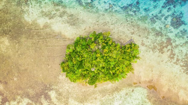 Trees, nature and drone of water on island for travel, vacation or holiday destination with scenery. Outdoor, plants and aerial view of ocean or sea environment for paradise landscape in Bali