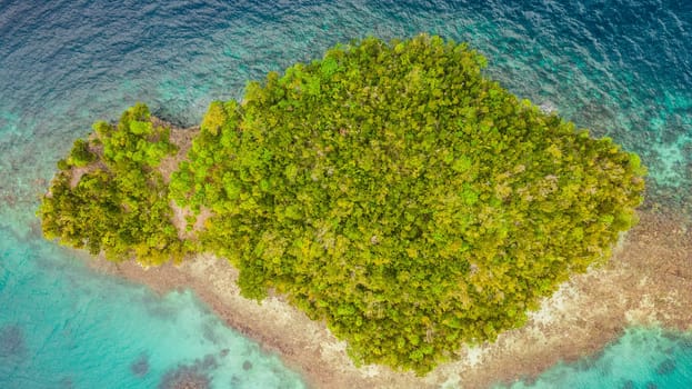 Raja Ampat, trees and island with water or drone view, tropical or jungle scenery for travel. Nature, sea and paradise for peaceful environment, adventure and vacation or holiday in Indonesia.