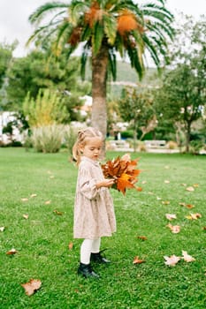 Little girl examines a red maple leaf in her hand while standing with a bouquet in the autumn garden. High quality photo