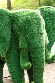 elephant created from bushes at green animals. garden decoration. Figures for the exhibition of artificial grass. Topiary gardens. garden statues, sculptures.