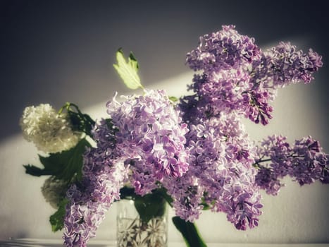 A bouquet of blossoming purple lilac flowers and a white viburnum inflorescence on a gray background. High quality photo