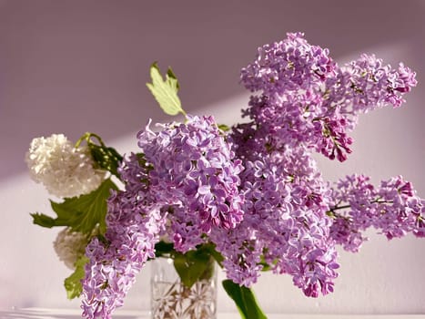 On a pink background in sunlight, a bouquet of purple lilac and white viburnum. High quality photo