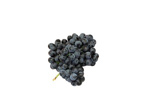 Blue Isabella grapes bunch isolated on white background.