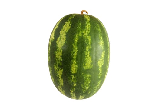 Watermelon, a staple food and natural fruit, is shown on a white background.