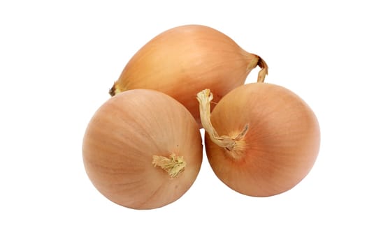 A yellow onion isolated on a white background.