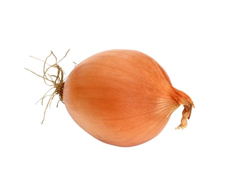 A yellow onion isolated on a white background.