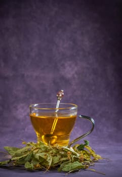 glass cup with an infusion of lime blossom tea with fresh leaves around it