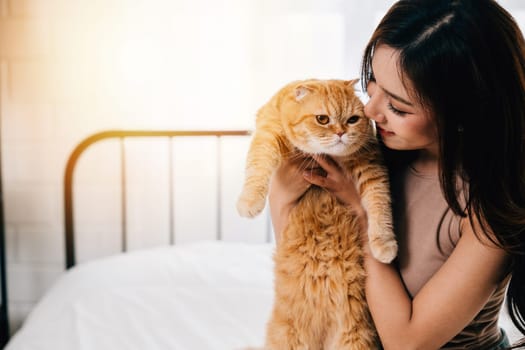 In this close-up, a woman lovingly holds her cute long-haired kitty, a beautiful orange Scottish Fold cat. The image conveys the warmth and connection between pet and owner in a home setting.