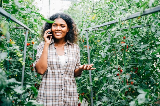 In the vibrant greenhouse, a smiling woman farmer in a hat talks on her phone, holding tomatoes. Modern communication fosters business growth, connecting the farm to the community's happiness.