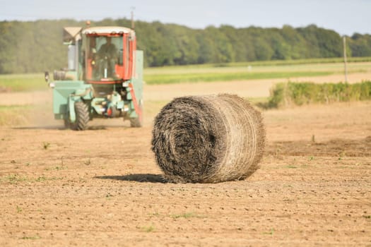 Tractor cleans the field with flax and makes bales