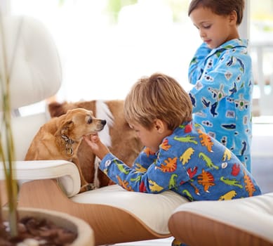 Children, dog and playing in home for bonding in living room with pyjamas for child development. Kids, pets and relax on sofa in house with happiness, playful and siblings with puppy on weekend.