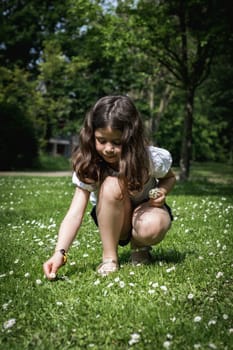 Portrait of one beautiful Caucasian brunette girl squatting collecting meadow daisies on a summer day in a public park, close-up side view.