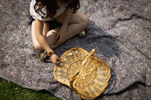 Portrait of one beautiful Caucasian brunette girl decorates a wicker basket with plucked meadow daisies while squatting on a gray blanket on a summer day in a public park, close-up top view.