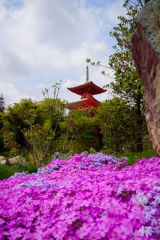 A beautiful Japanese garden with a pond and Tahoto Pagoda in the distance. Japanese garden in the public park of the city of Krasnodar, Russia