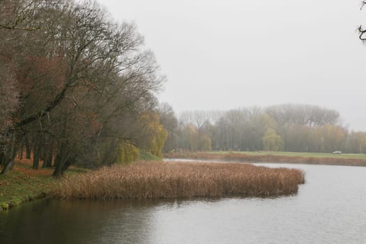 Dull autumn landscape. River bank with trees without leaves.