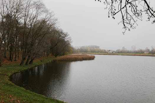 Autumn landscape of rustic nature. River bank with trees without leaves.