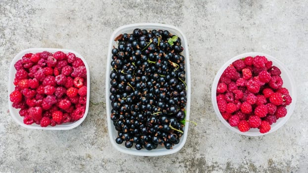 Fresh raspberries in plastic box. Three plastic containers with fresh garden berries on a concrete background. View from above.