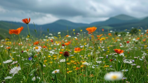 A field of wildflowers with mountains in the background