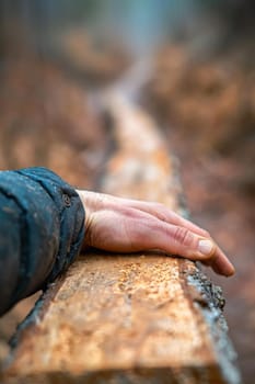 A man's hand on a log in the woods