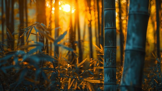 A close up of a bamboo forest with the sun shining through
