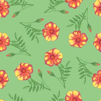 Marigold Flower Seamless Pattern. Hand Drawn Floral Digital Paper on Green Background.