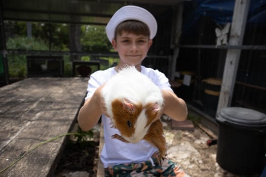 Boy holding a guinea pig in his arms. High quality photo