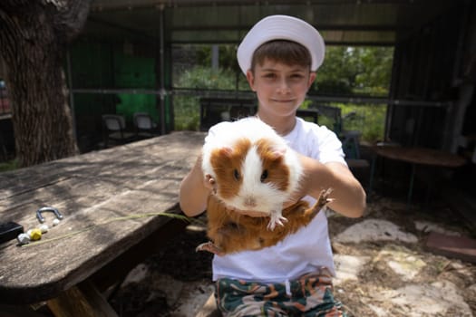Boy holding a guinea pig in his arms. High quality photo