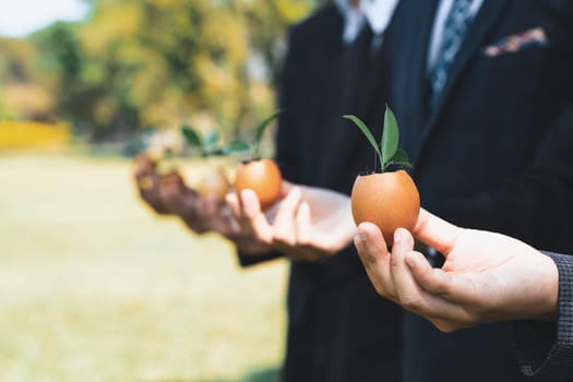 Group of business people holding repuposed eggshell transformed into fertilizer pot, symbolizing commitment to nurture and grow sprout or baby plant as part of a corporate reforestation project. Gyre