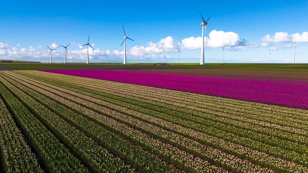 A picturesque scene of a vibrant field filled with colorful flowers, with elegant windmill turbines spinning in the distance against a clear blue sky.