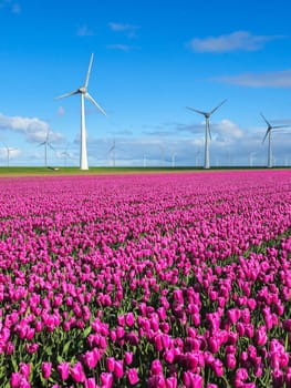 A vibrant field of purple tulips stretches into the distance, with majestic windmills spinning in the background under a clear Spring sky.