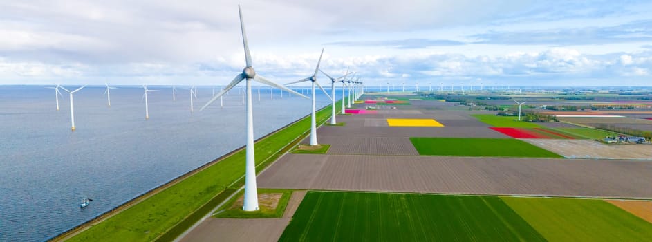 An aerial view of wind turbines standing gracefully near the ocean, harnessing the power of the wind to generate renewable energy. with spring tulip flowers in the Noordoostpolder Netherlands
