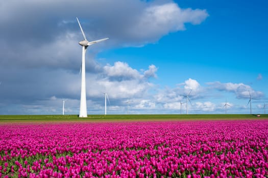 A vibrant field of purple flowers dances in the wind, with majestic windmills standing tall in the background. windmill turbines in the Noordoostpolder Netherlands