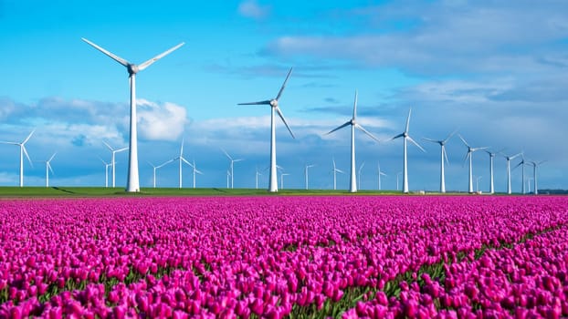 A vibrant field of tulips dances in the wind, with windmills standing tall in the background against a clear blue sky. windmill turbines in the Noordoostpolder Netherlands