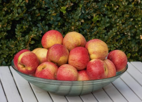 Red apples in a bowl, outdoor and nutrition with protein, healthy snack and treat with diet plan and harvest. Organic, fruit and vitamins with nature, picnic table and produce with fiber and wellness.