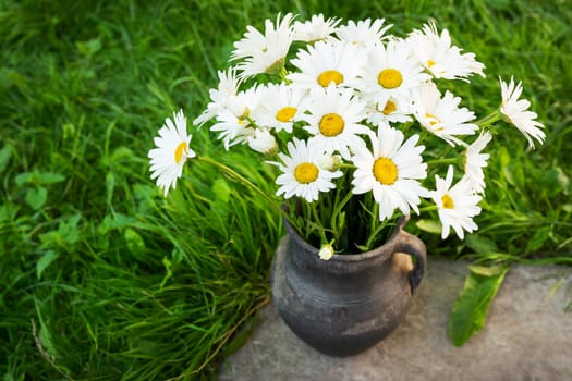 A rustic jug holds a bouquet of fresh white daisies on lush green grass under natural light