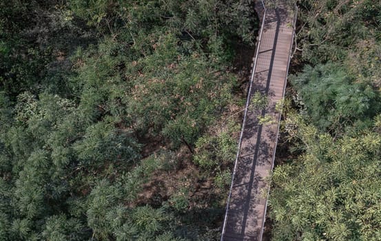 Aerial shot view of a beautiful wooden suspension bridge in the middle of the forest surrounded by lush green forest on a sunny morning. Sunlight through the leaves, Wooden bridge crossing forest tropical eco-park, Beauty nature scene. Copy space, Selective focus.